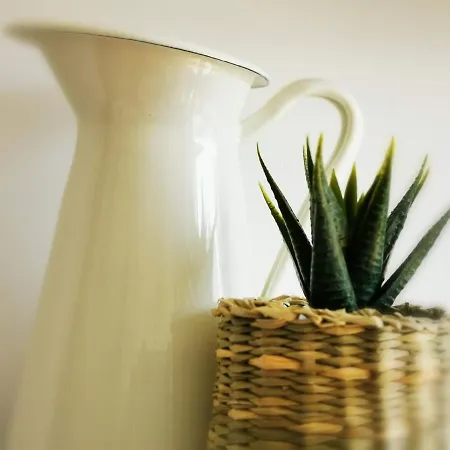 Appartement Lido Beachfront *